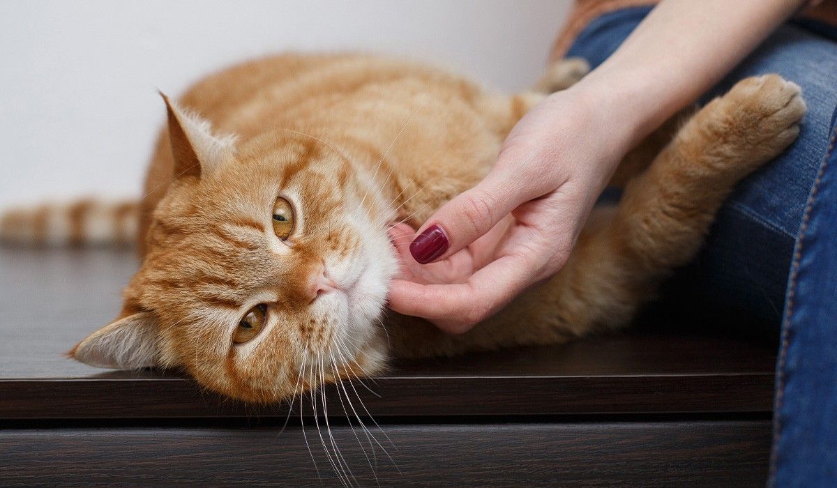 Microchips